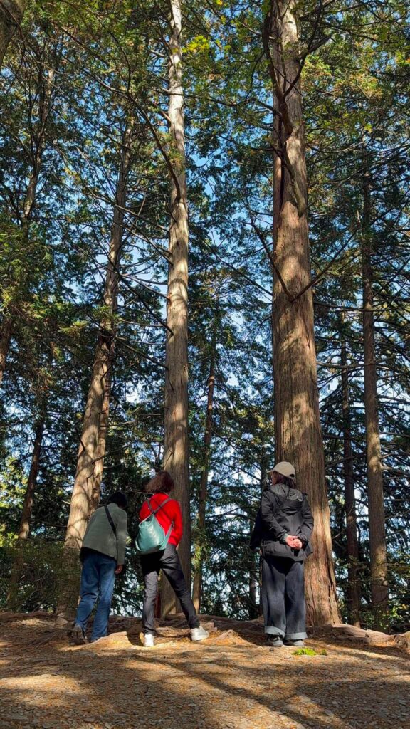 4年目を迎えた仲間と、三峰神社の杉の森で