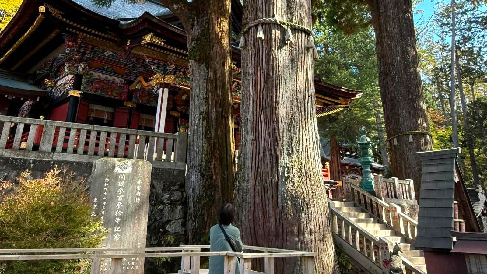 三峰神社の御神木を見上げる