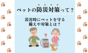 ペットの防災対策って？